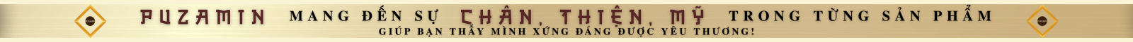 Header banner